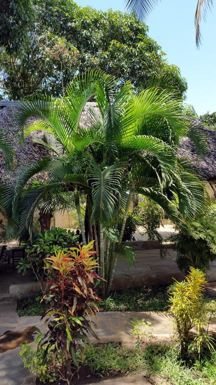 Jamboland-Diani Villa Диани Бийч Екстериор снимка